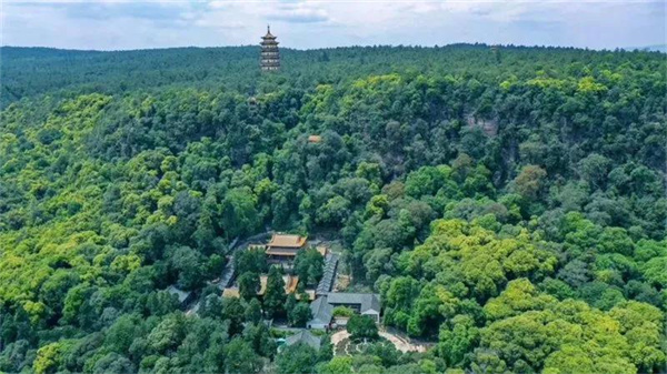 康養(yǎng)+旅游，冬游楚雄就選這條自駕線路