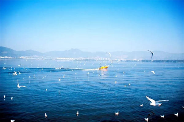 想偷半日浮生閑？來昆明看天、看湖、看雪景|春城冬韻·美景