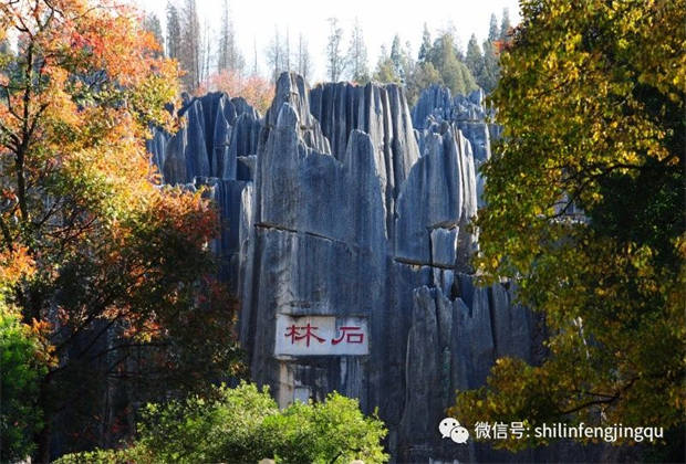 石林，中國天然氧吧
